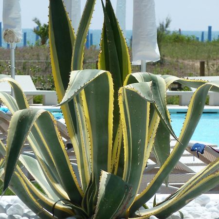 Hotel Mediterraneo Suite&Residence ليدو دي يسولو المظهر الخارجي الصورة